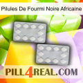 African Black Ant Pills 17
